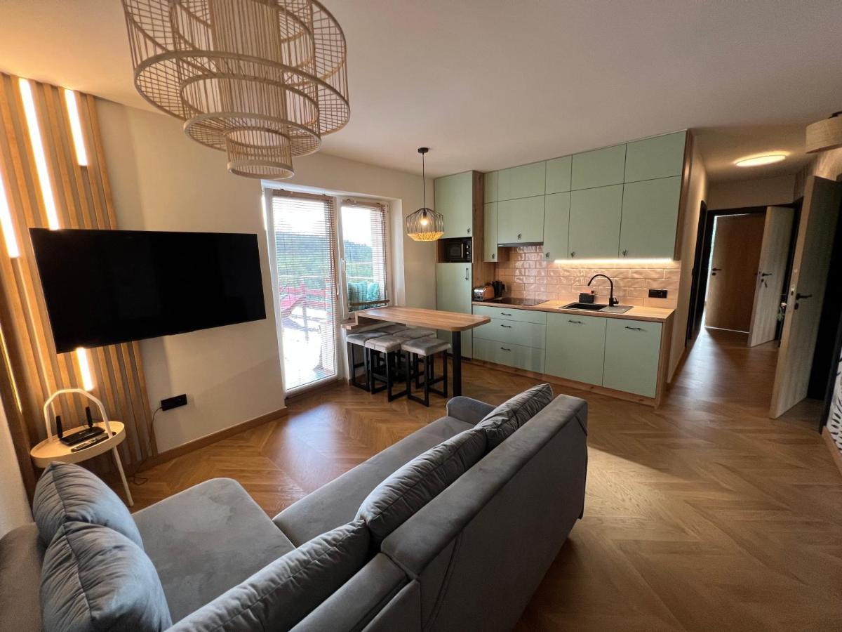 Apartament Partykularz Z Tarasem I Widokiem Na śnieżkę Karpacz